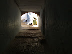 Calle
