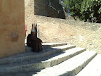 Anciano