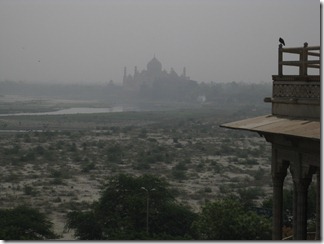 Agra Fort - 10