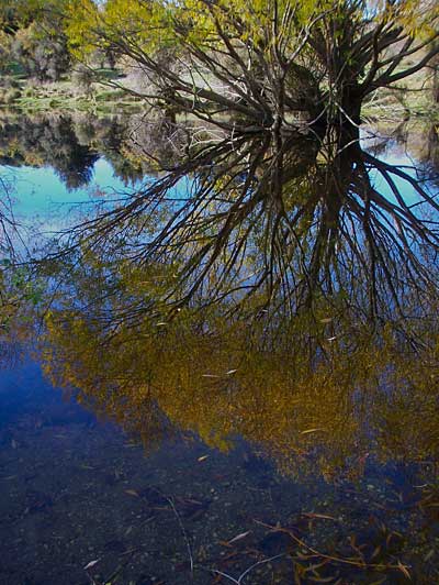 glendhu-bay-wanaka-3.jpg