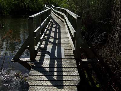 glenorchy-lagoon-3.jpg