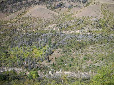 kawarau-river-face-5.jpg