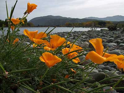 waitaki-river.jpg