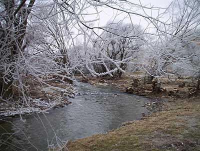 hoar-frost-1.jpg