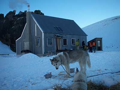 sled-dog-2.jpg