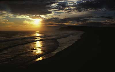 sunset-on-sea-otago.jpg