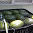 DSCN1155.JPG
