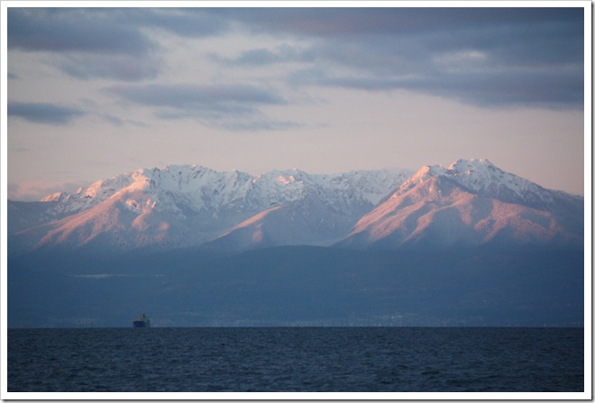 IMG_4030 IMG_4030