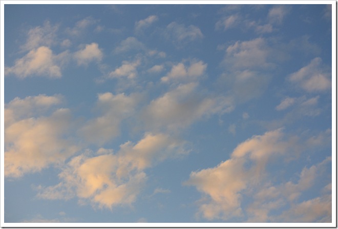 IMG_5187 IMG_5187