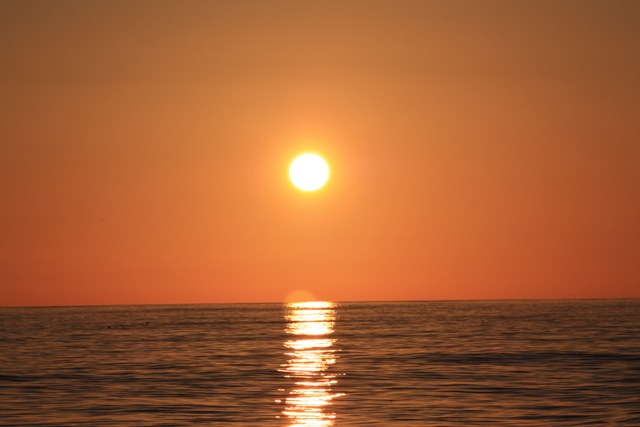 [IMG_51894.jpg]