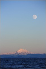 IMG_5439