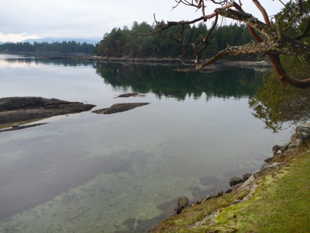 [P1010484640x4804.jpg]