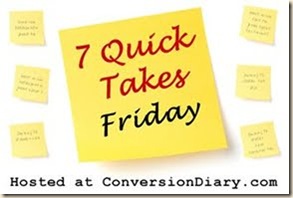 7_quick_takes_sm 7_quick_takes_sm