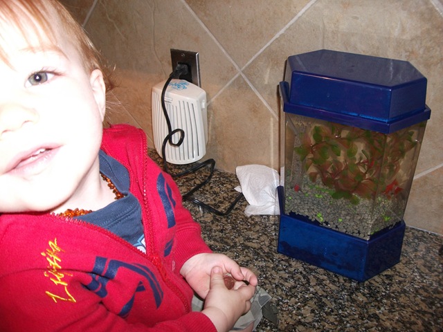 [DSCF05044.jpg]