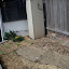Ollie's Dig up the lawn garden