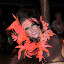 DSC_0579.jpg