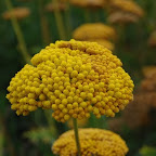DSC_0228.JPG