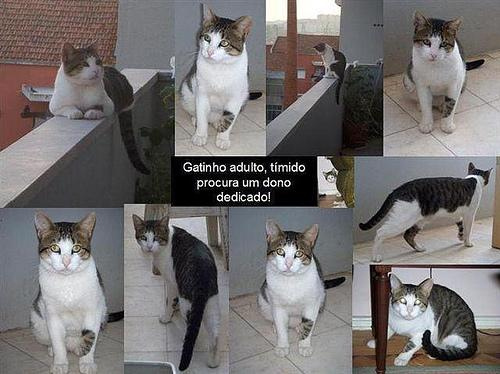 Imagem