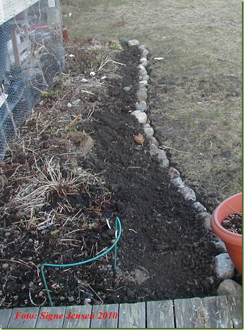 2.mai2010 019 2.mai2010 019