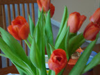 DSC01862.JPG