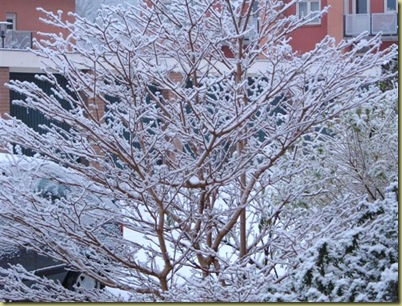 sneeuw 004