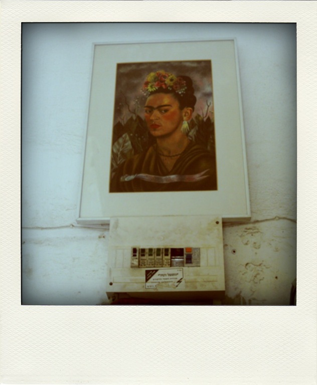 _MG_0834-pola _MG_0834-pola