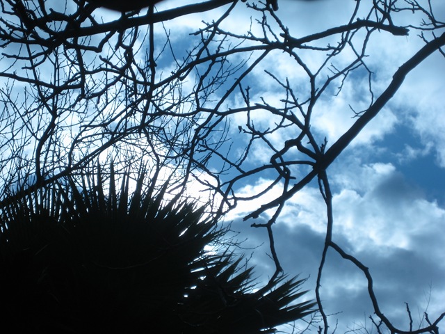 IMG_3874 IMG_3874
