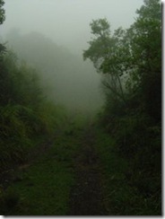 Day 2 weather at beginning of hike Day 2 weather at beginning of hike