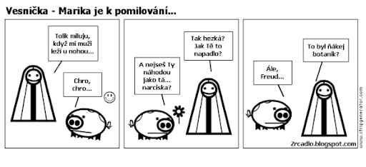 Komiks Vesnička - Marika je k pomilování