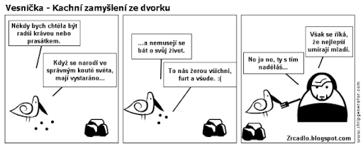 Komiks Vesnička - Kachní zamyšlení na dvorku.