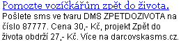 Pomozte dárcovskou sms lidem na vozíčku zpět do života