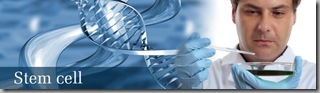 stem cell stem cell