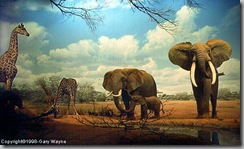 NaturalHistoryDiorama NaturalHistoryDiorama