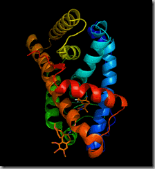 Androgen Receptor 1