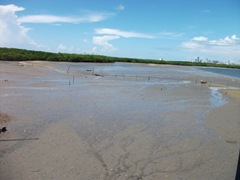 DSCF1145