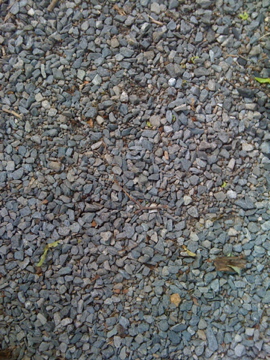 Gravel Driveway