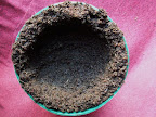 Hole in Dirt for Bulb