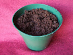 Reconstituted Peat Disk