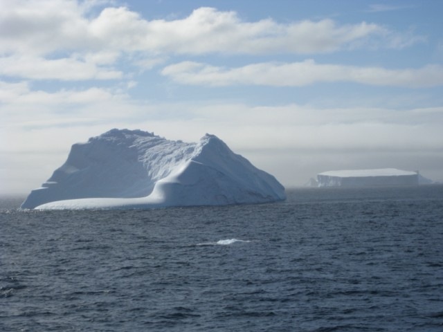 [IMG_0489640x4801.jpg]