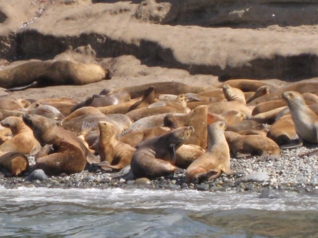 [IMG_1395640x4805.jpg]