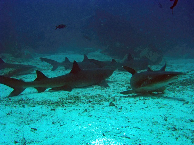 [IMG_14454.jpg]
