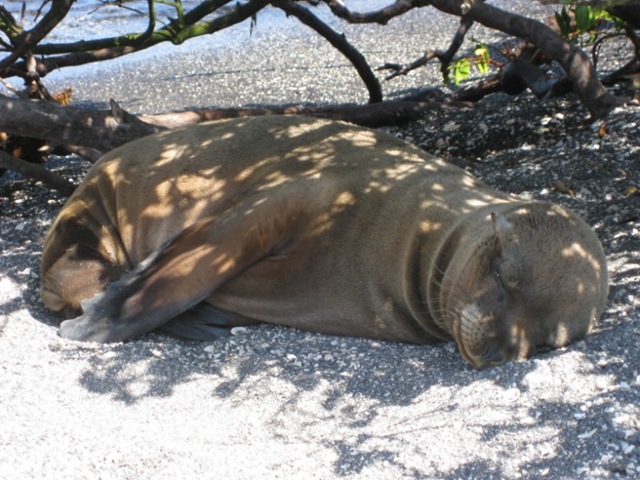 [IMG_0952800x6002.jpg]