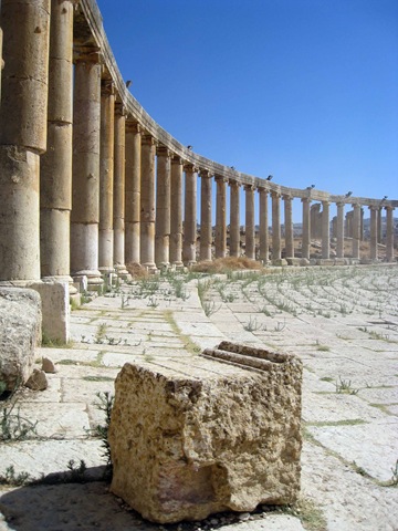 [IMG_24081.jpg]