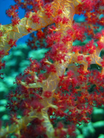 [IMG_4212640x4803.jpg]