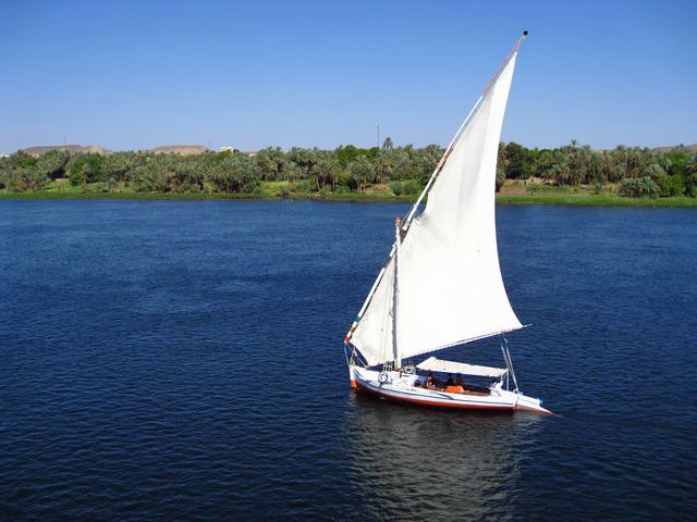 [IMG_7544640x4803.jpg]