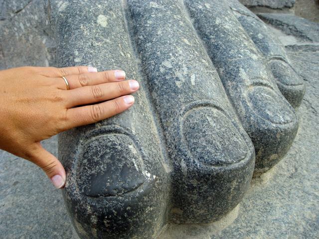 [IMG_7754 [640x480].jpg]