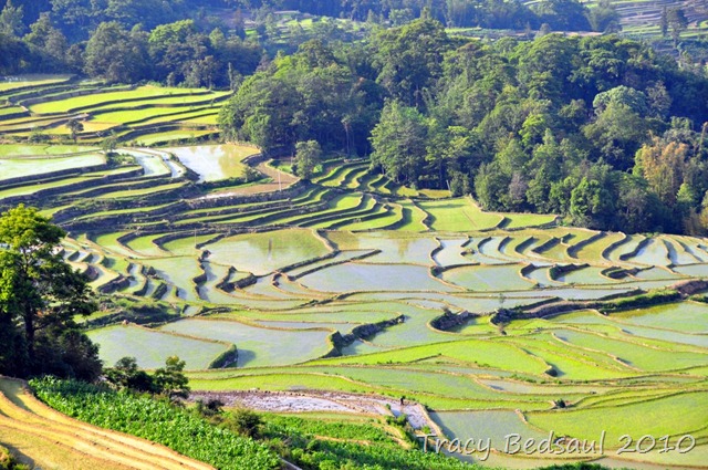 [DSC_41865.jpg]