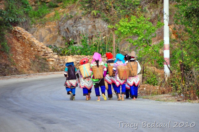 [DSC_42146.jpg]