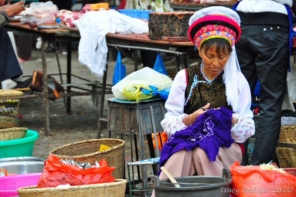 [DSC_473311.jpg]