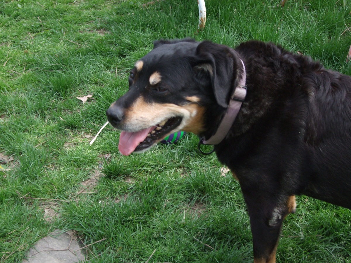 [sammy9[2].jpg]